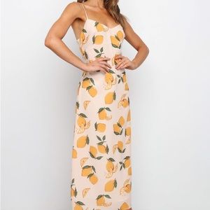 Petal and Pup Pedro Dress